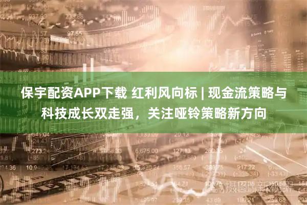 保宇配资APP下载 红利风向标 | 现金流策略与科技成长双走强，关注哑铃策略新方向